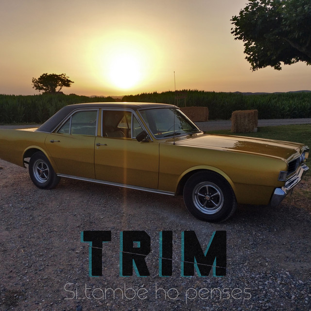Si també ho penses cover art