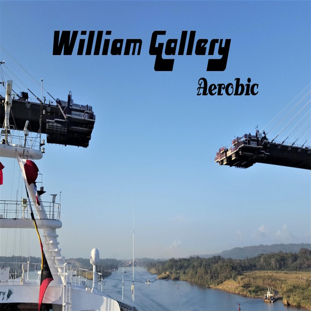 Aerobic cover art