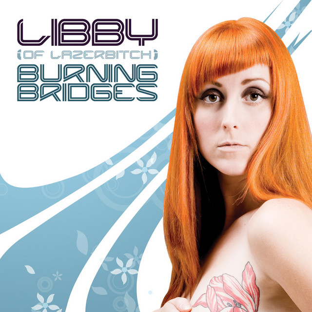 Burning Bridges (Mr. V's Main Instrumental) cover art