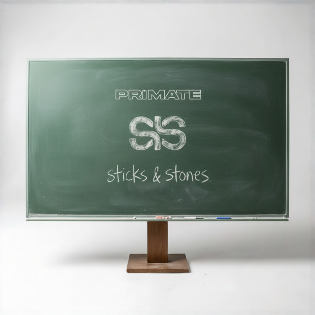 Sticks & Stones album art