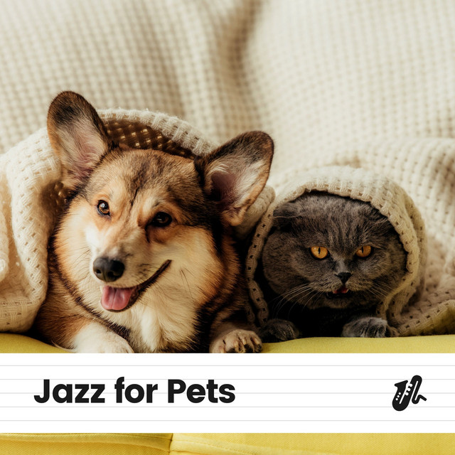 Jazz Music Therapy for Dogs