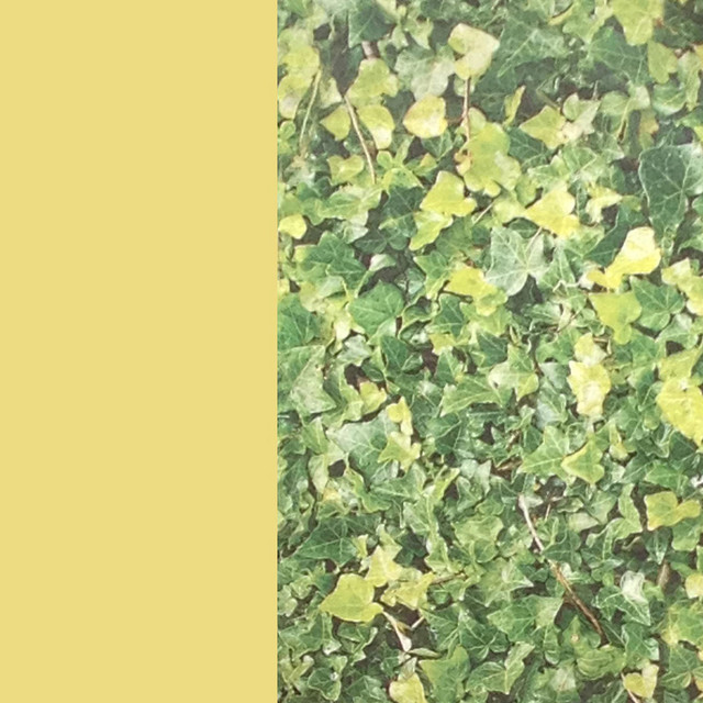 Some Soon Day cover art