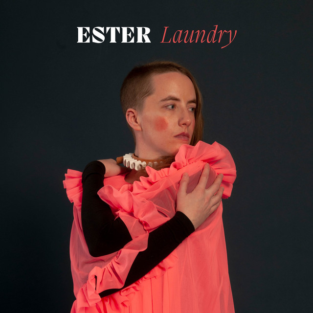 Laundry cover art