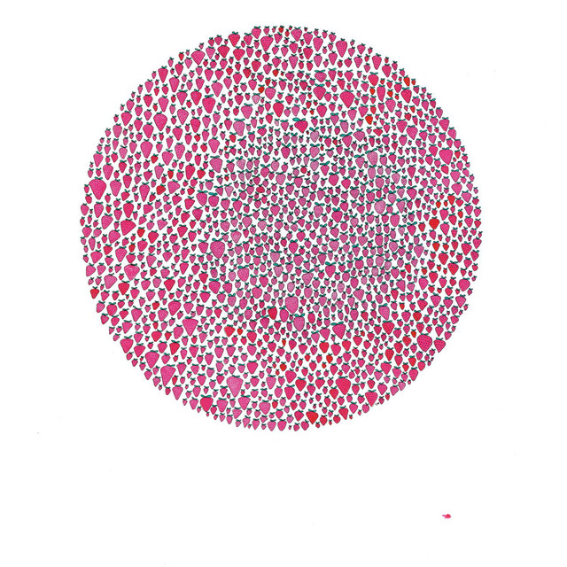 An Abundance of Strawberries cover art