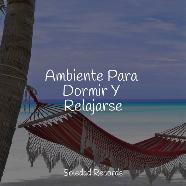 Ambiente Para Dormir Y Relajarse