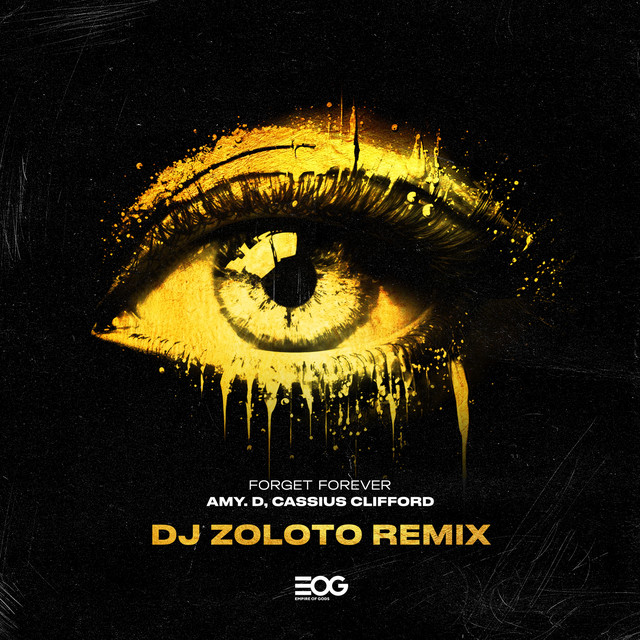 Обкладинка: Forget Forever - DJ ZOLOTO Remix — AMY.D