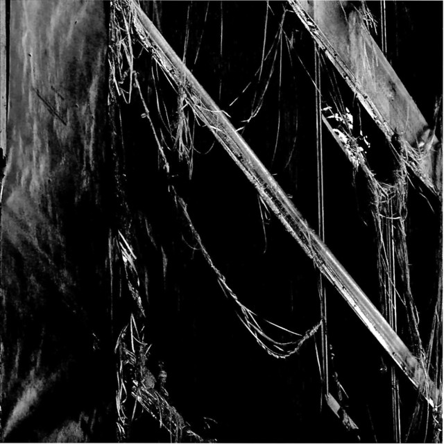 Reexistence cover art