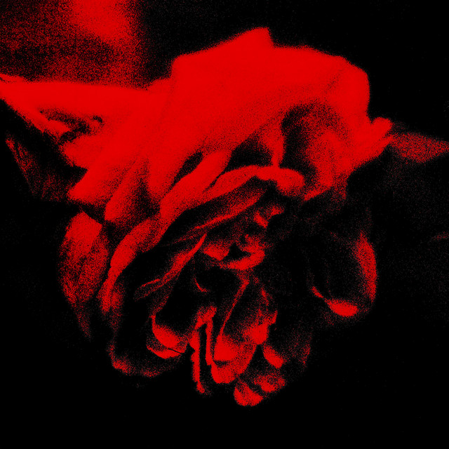 Decently cover art