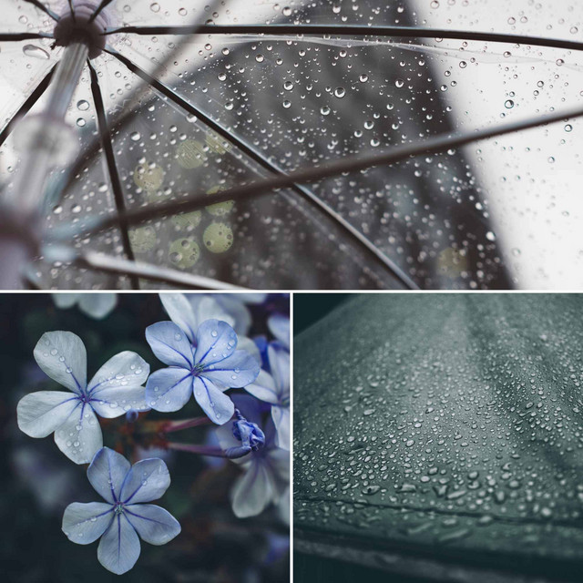 Fabulous - Winter Rains cover art