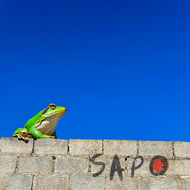Já Já cover art