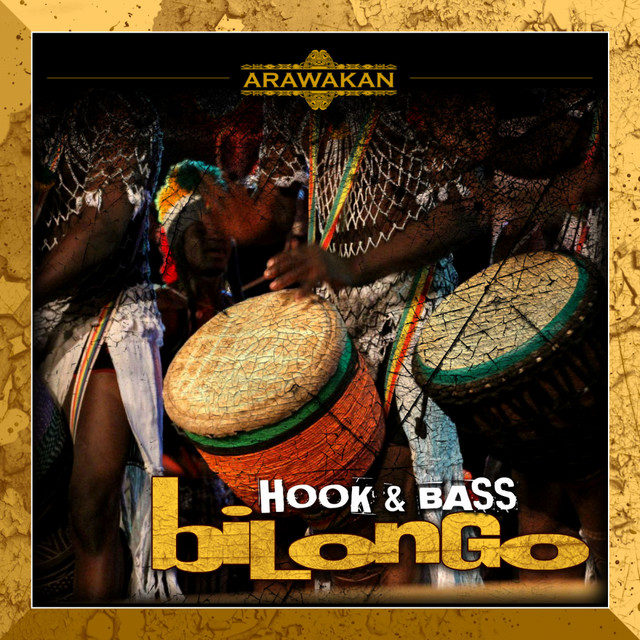 Bilongo - Hook & Bass Mix cover art