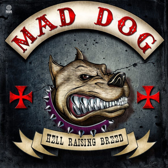 Mad Dog - song and lyrics by mad dog | Spotify