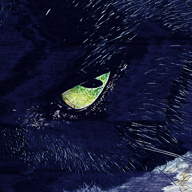 Interphasis cover art