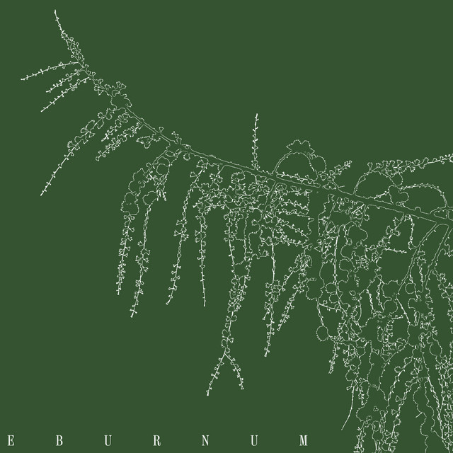 Eburnum cover art