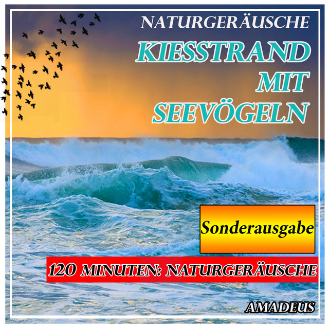 Kiesstrand mit Seevögeln: Naturgeräusche: Sonderausgabe cover art