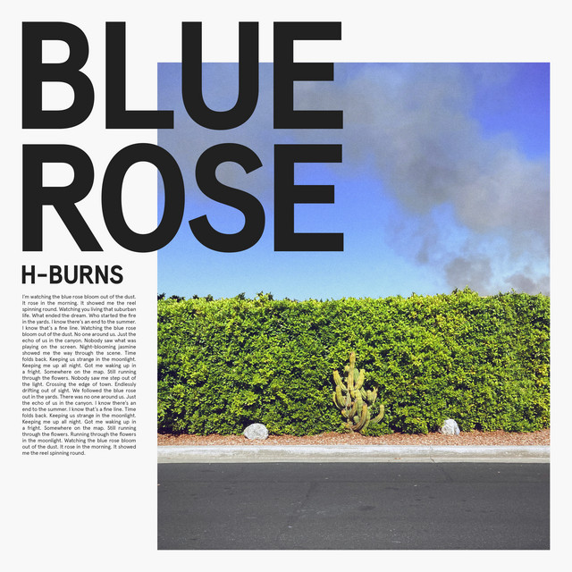Blue Rose