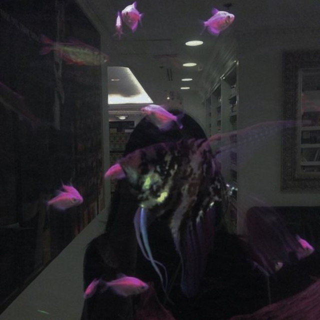 Dark Tints cover art