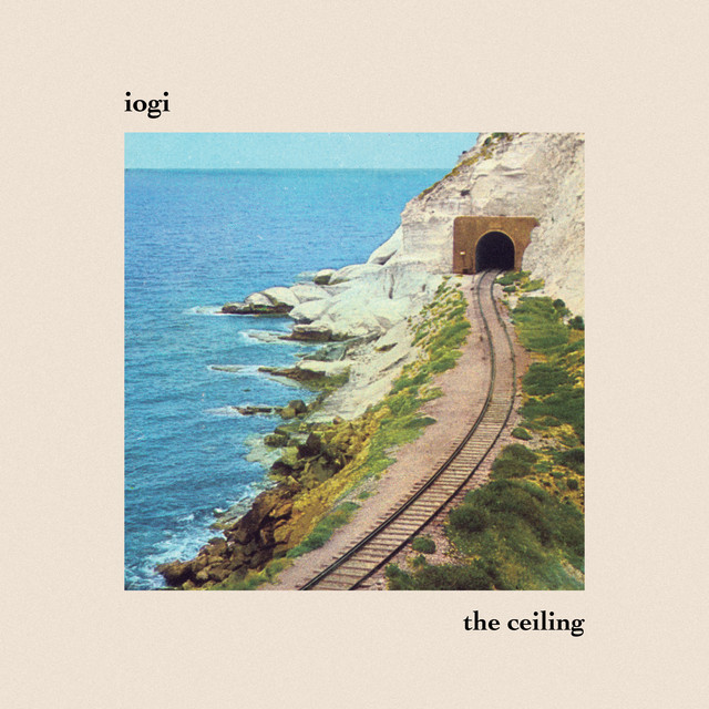 the ceiling cover art