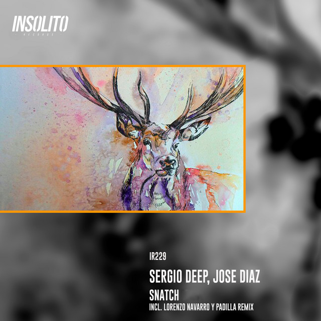 Snatch - Lorenzo Navarro Remix cover art