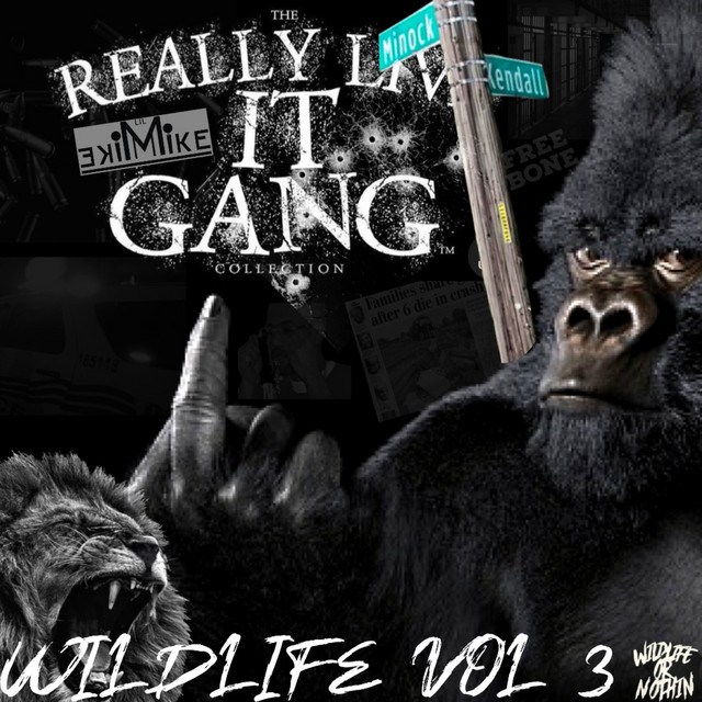 WTF cover art