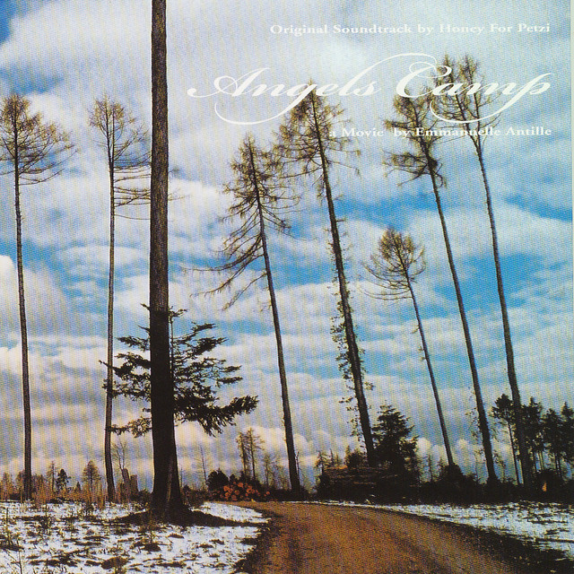 Angels camp cover art