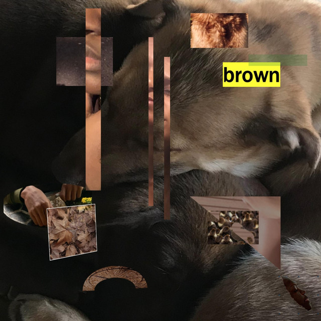 brown cover art