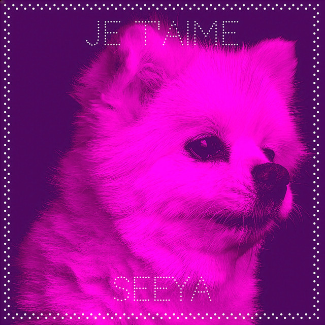 Je T'aime cover