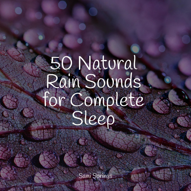 50 Natural Rain Sounds for Complete Sleep - Album by Reiki Music | Spotify