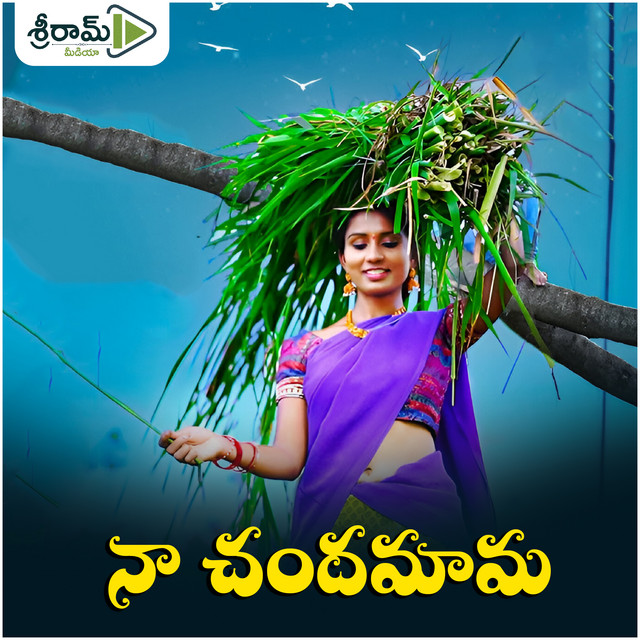 Cover of Na Chandhamama by Divya Malika