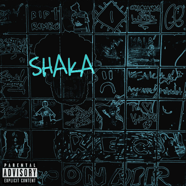 DÍTĚ Z HOODU cover art