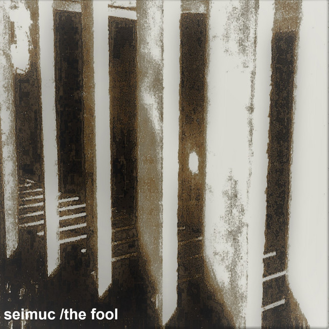 The Fool cover art