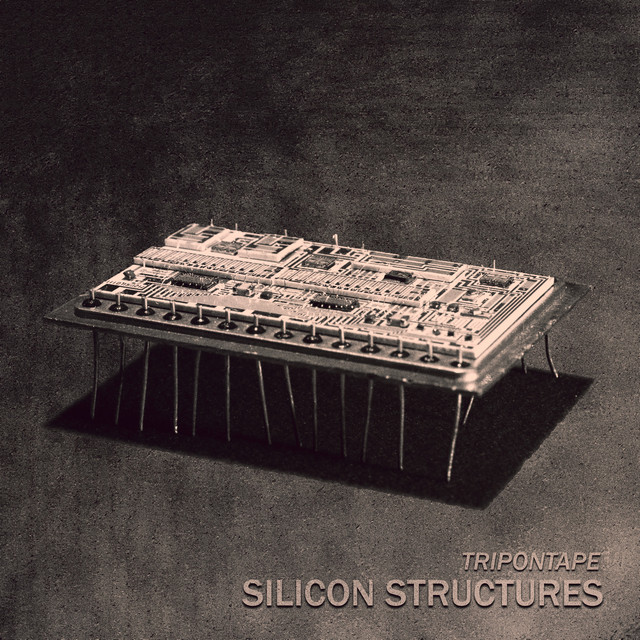 Silicon Structures cover art