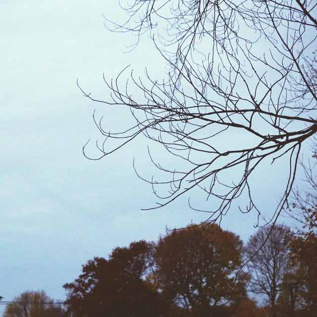 Autumn Hiss cover art