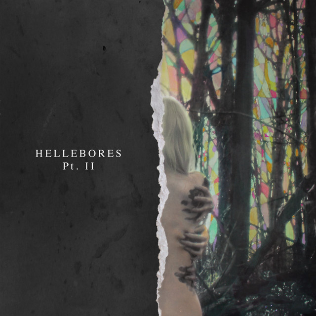 Hellebores, Pt. Ii cover