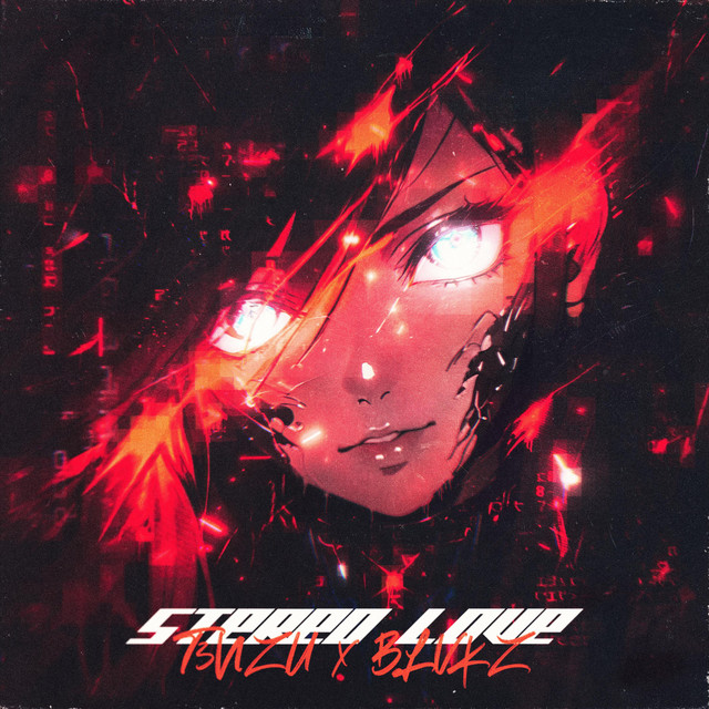 STEREO LOVE FUNK album image