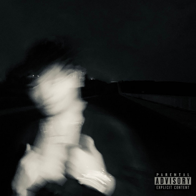 VARISPEED (DELUXE) cover art