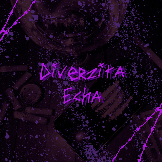 Diverzita Echa cover art