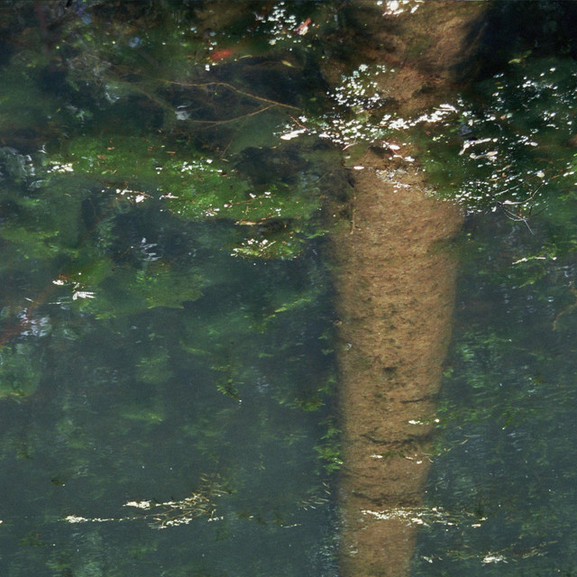 Spirit of Dark and Lonely Water (single)