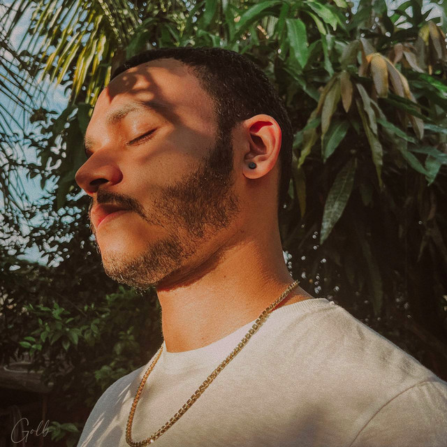 Novos Carnavais cover art