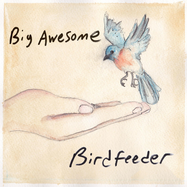 Birdfeeder cover