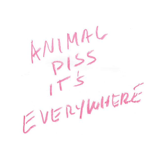 Animal Piss, It's Everywhere image