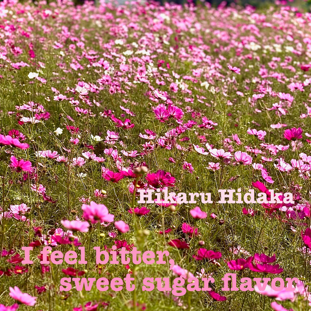 I feel bitter, sweet sugar flavor cover art
