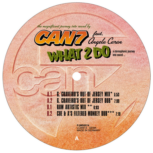 What 2 Do cover art