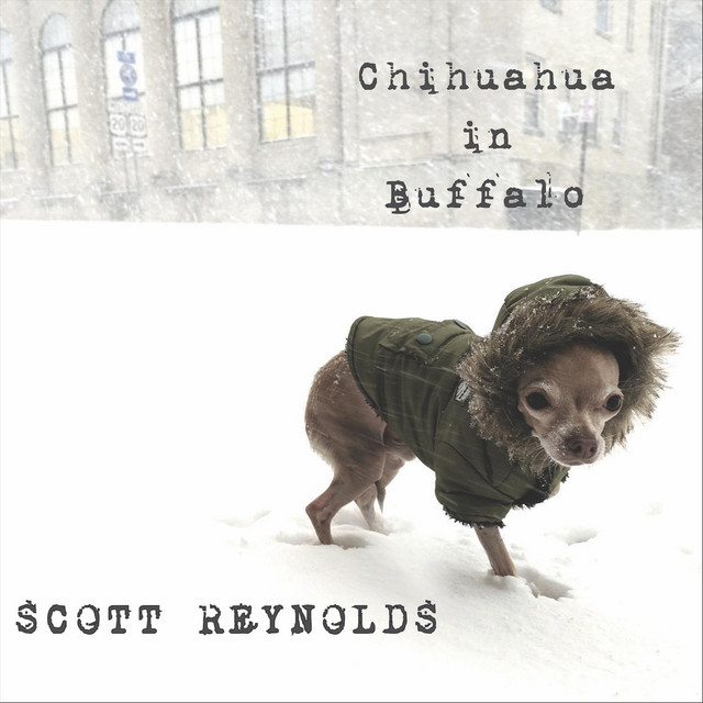 Chihuahua in Buffalo cover art