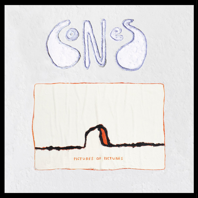Pictures of Pictures cover art