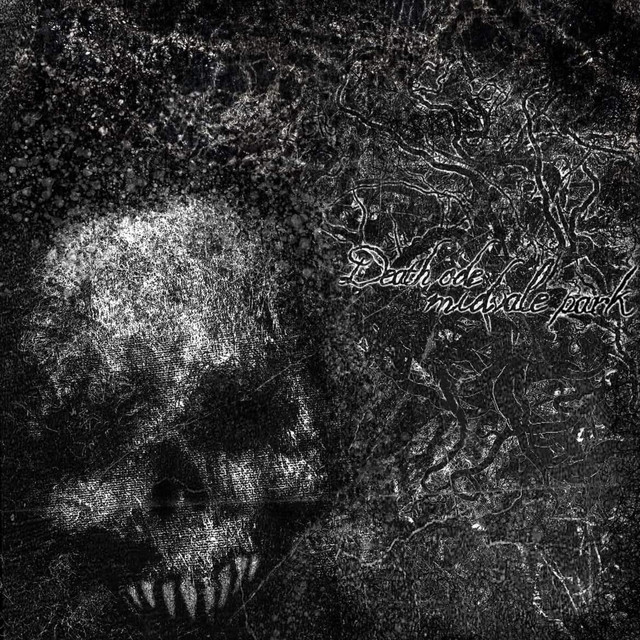 Split With Death Ode - Single by Midvale Park | Spotify