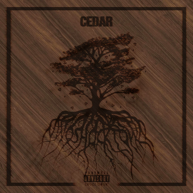 CEDAR cover art