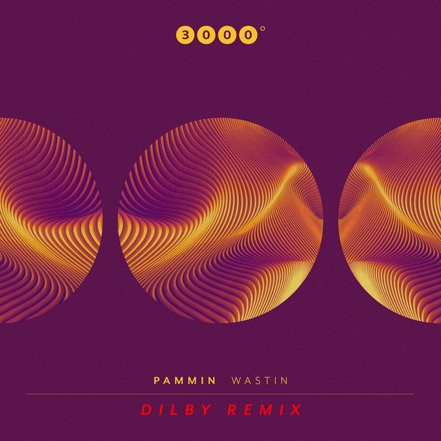 Wastin - Dilby Remix album art