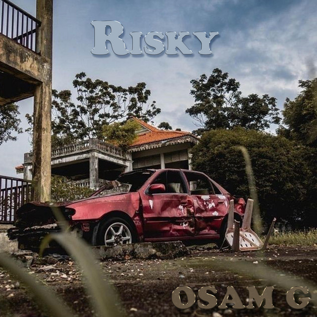 Risky cover art