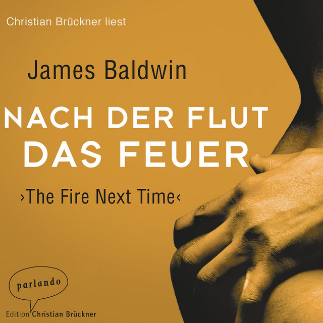 Nach der Flut das Feuer (Ungekürzte Lesung) cover art